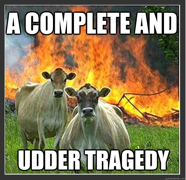 a complete and udder tragedy - a complete and udder tragedy  Evil cows