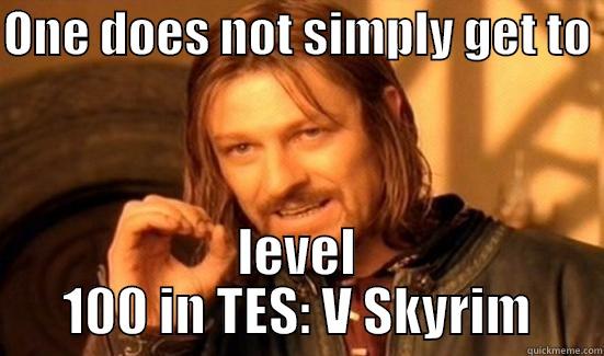 ONE DOES NOT SIMPLY GET TO  LEVEL 100 IN TES: V SKYRIM Boromir