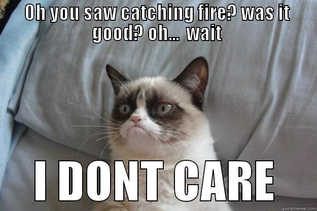 OH YOU SAW CATCHING FIRE? WAS IT GOOD? OH...  WAIT I DONT CARE Grumpy Cat