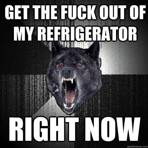 Get the fuck out of my refrigerator   RIGHT NOW  Insanity Wolf