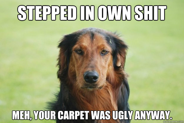 Stepped in own shit Meh, your carpet was ugly anyway.  