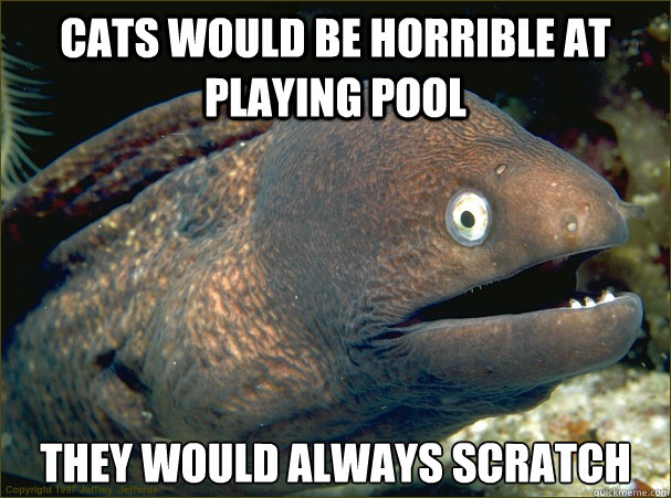 Cats would be horrible at playing pool They would always scratch   Bad Joke Eel