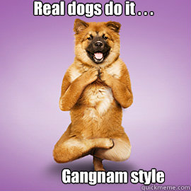 Gangnam style Real dogs do it . . .  