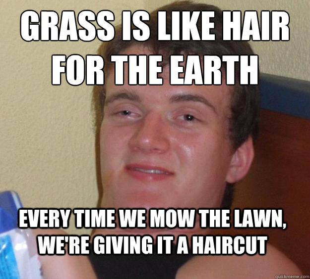 grass is like hair for the earth every time we mow the lawn, we're giving it a haircut  10 Guy