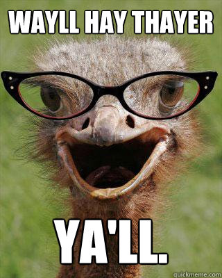 wayll hay thayer YA'LL. - wayll hay thayer YA'LL.  Judgmental Bookseller Ostrich