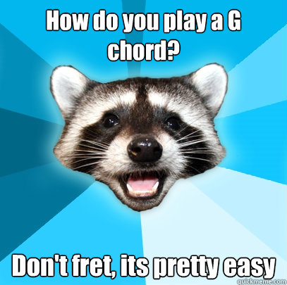 How do you play a G chord? Don't fret, its pretty easy  Lame Pun Coon