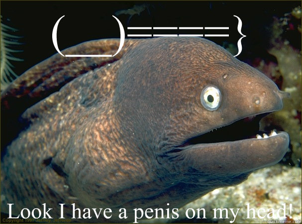 (__)====} Look I have a penis on my head!  Bad Joke Eel