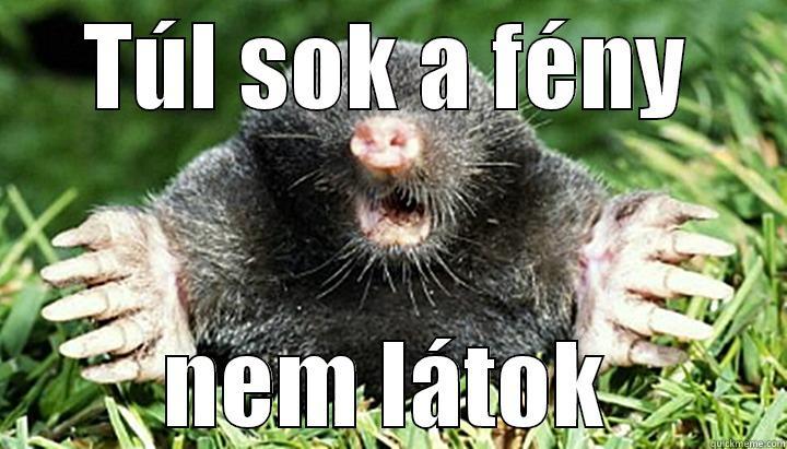 TÚL SOK A FÉNY NEM LÁTOK Misc