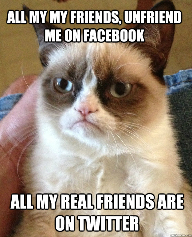 all my my friends, unfriend me on facebook all my real friends are on twitter  Grumpy Cat