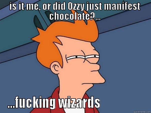 IS IT ME, OR DID OZZY JUST MANIFEST CHOCOLATE?... ...FUCKING WIZARDS                   Futurama Fry