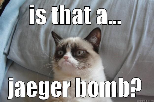 IS THAT A... JAEGER BOMB? Grumpy Cat