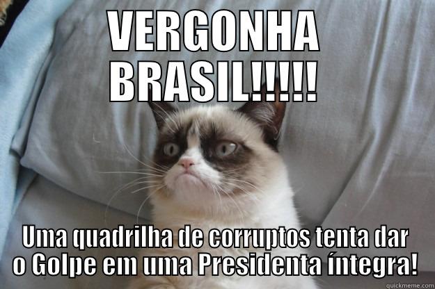 VERGONHA BRASIL!!!!! UMA QUADRILHA DE CORRUPTOS TENTA DAR O GOLPE EM UMA PRESIDENTA ÍNTEGRA! Grumpy Cat