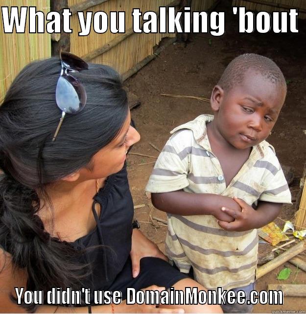 WHAT YOU TALKING 'BOUT  YOU DIDN'T USE DOMAINMONKEE.COM  Skeptical Third World Kid