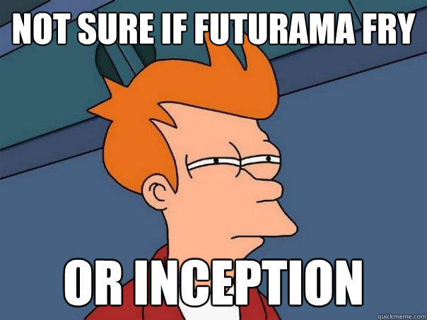 Not sure if Futurama Fry Or Inception  Futurama Fry