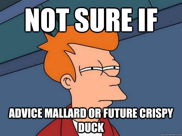 Not sure if  Advice Mallard OR FUTURE CRISPY DUCK  Futurama Fry