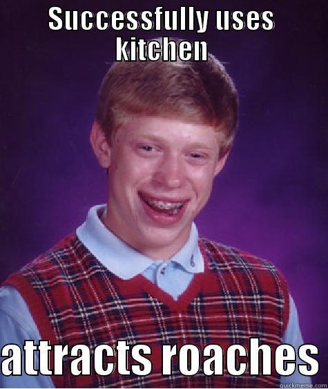 SUCCESSFULLY USES KITCHEN  ATTRACTS ROACHES Bad Luck Brian