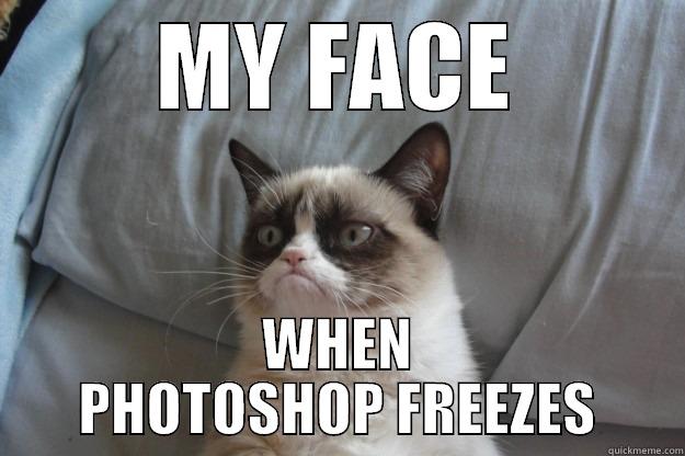 MY FACE WHEN PHOTOSHOP FREEZES Grumpy Cat