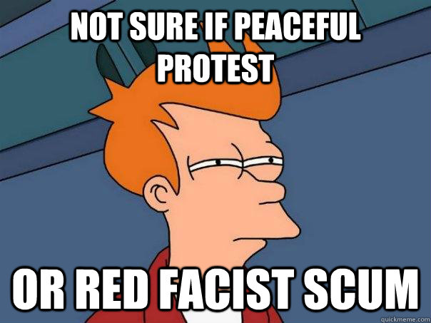 not sure if peaceful protest or red facist scum  Futurama Fry