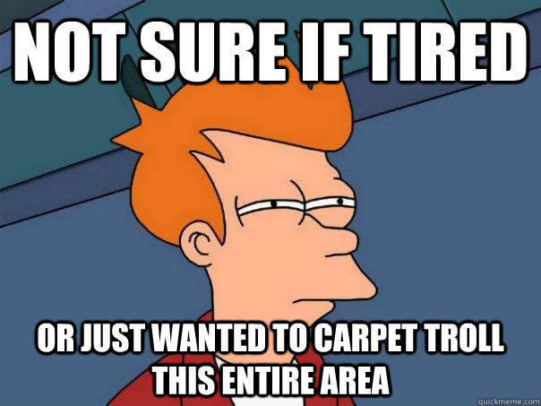 Not sure if tired Or just wanted to carpet troll this entire area - Not sure if tired Or just wanted to carpet troll this entire area  Futurama Fry