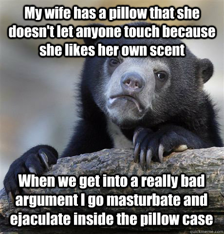 My wife has a pillow that she doesn't let anyone touch because she likes her own scent When we get into a really bad argument I go masturbate and ejaculate inside the pillow case - My wife has a pillow that she doesn't let anyone touch because she likes her own scent When we get into a really bad argument I go masturbate and ejaculate inside the pillow case  Confession Bear