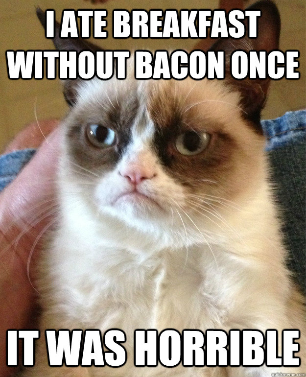 I ate breakfast without bacon once it was horrible   Grumpy Cat