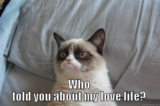  WHO TOLD YOU ABOUT MY LOVE LIFE? Grumpy Cat