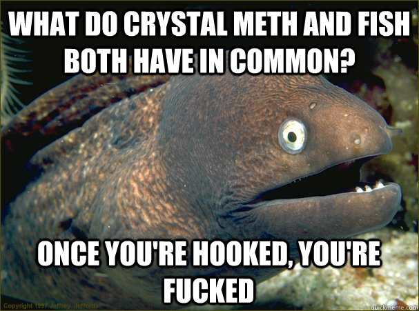 what do crystal meth and fish both have in common? once you're hooked, you're fucked  Bad Joke Eel