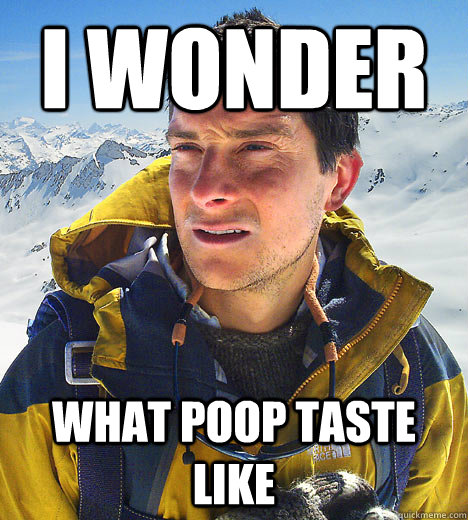 I wonder what poop taste like  - I wonder what poop taste like   BEAR GRILLS