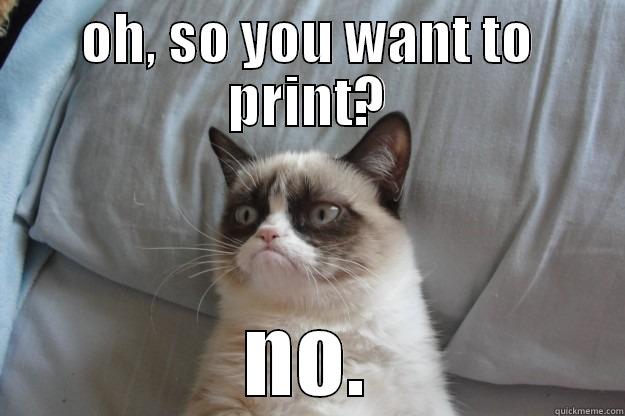 OH, SO YOU WANT TO PRINT? NO. Grumpy Cat