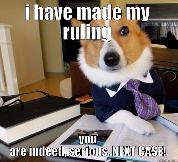 I HAVE MADE MY RULING YOU ARE INDEED, SERIOUS. NEXT CASE! Lawyer Dog