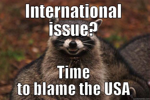 INTERNATIONAL ISSUE? TIME TO BLAME THE USA Evil Plotting Raccoon