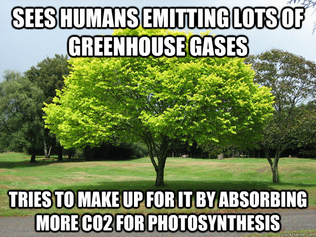 Sees humans emitting lots of greenhouse gases Tries to make up for it by absorbing more CO2 for photosynthesis - Sees humans emitting lots of greenhouse gases Tries to make up for it by absorbing more CO2 for photosynthesis  Good Guy Tree