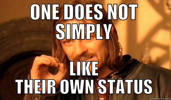 ONE DOES NOT SIMPLY LIKE THEIR OWN STATUS Boromir