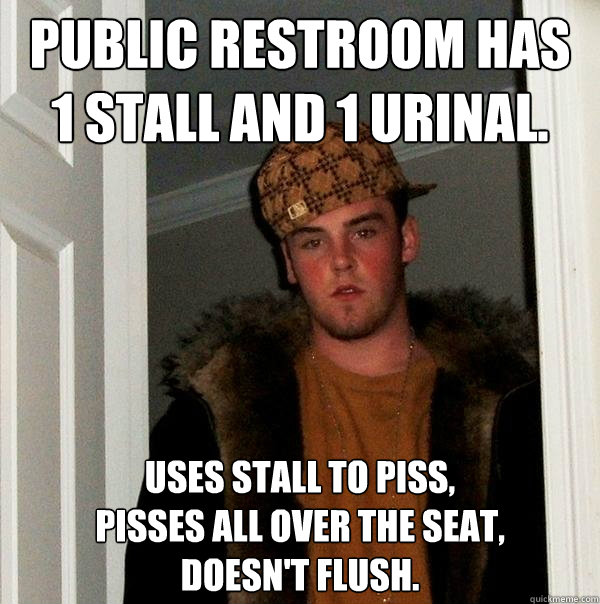 Public restroom has 
1 stall and 1 urinal. Uses stall to piss,
pisses all over the seat,
doesn't flush.  Scumbag Steve