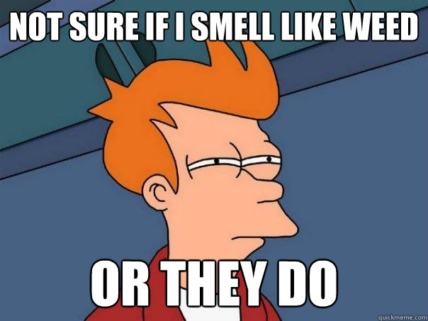 not sure if i smell like weed or they do  Futurama Fry