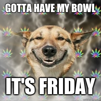 Gotta have my bowl It's friday  Stoner Dog