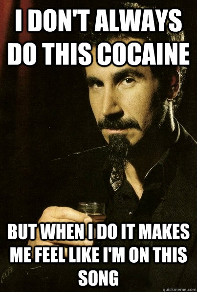 I don't always do this cocaine But when I do it makes me feel like I'm on this song  sERJ TANKIAN