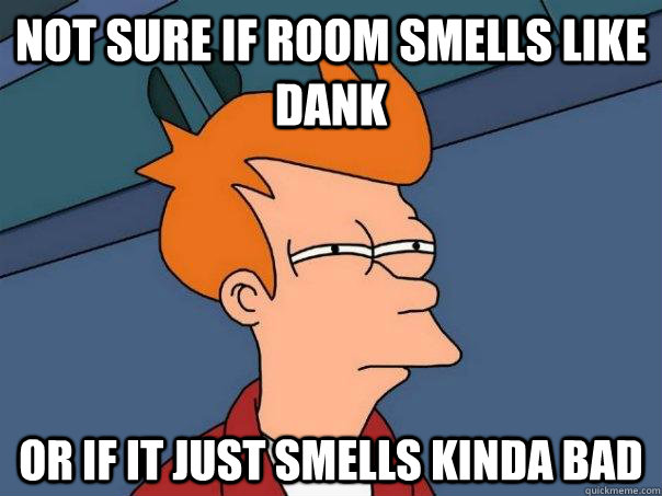 Not sure if room smells like dank or if it just smells kinda bad  Futurama Fry