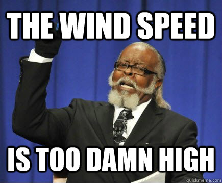 The Wind Speed Is Too Damn High - The Wind Speed Is Too Damn High  Too Damn High