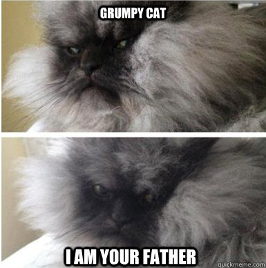 Grumpy Cat I am your father  