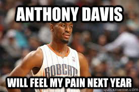 Anthony Davis Will feel my pain next Year  