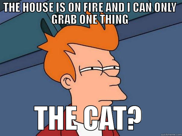 THE HOUSE IS ON FIRE AND I CAN ONLY GRAB ONE THING THE CAT? Futurama Fry