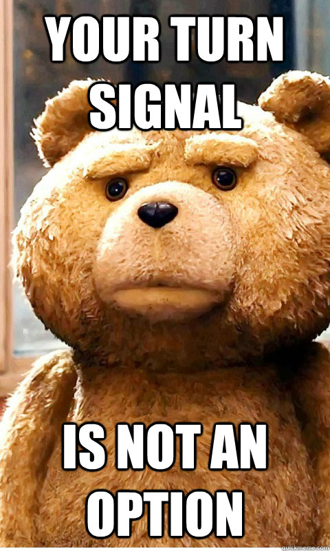 your turn signal is not an option  Angry Ted