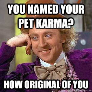 you named your pet karma? how original of you  Condescending Wonka