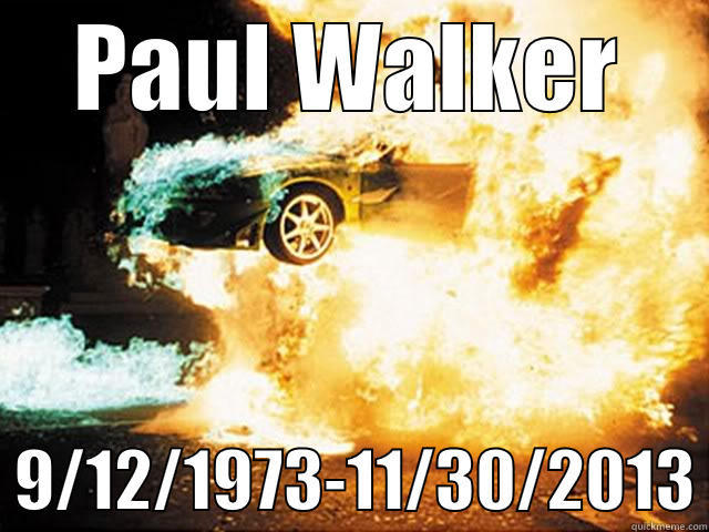 PAUL WALKER   9/12/1973-11/30/2013 Misc