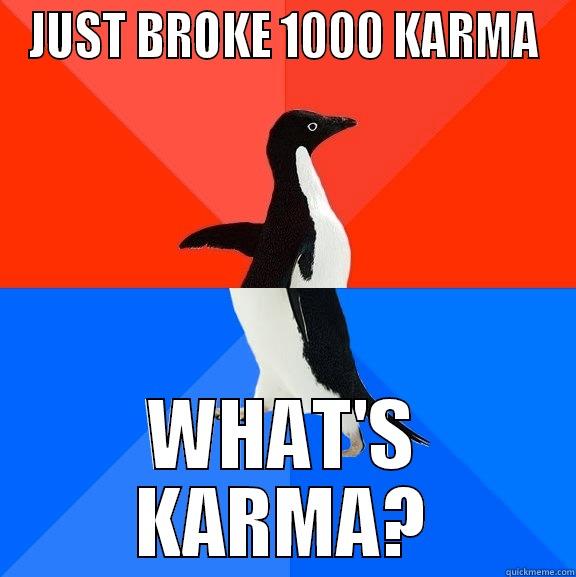 JUST BROKE 1000 KARMA WHAT'S KARMA? Socially Awesome Awkward Penguin