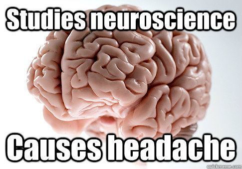 Studies neuroscience Causes headache  - Studies neuroscience Causes headache   Scumbag Brain