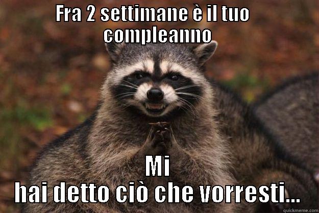 FRA 2 SETTIMANE È IL TUO    COMPLEANNO MI HAI DETTO CIÒ CHE VORRESTI... Evil Plotting Raccoon