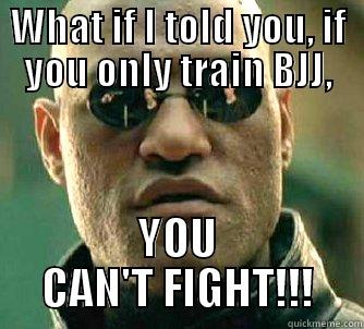 MMA > BJJ - WHAT IF I TOLD YOU, IF YOU ONLY TRAIN BJJ, YOU CAN'T FIGHT!!! Matrix Morpheus