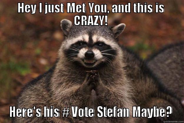 Raccoon named Carly Rae - HEY I JUST MET YOU, AND THIS IS CRAZY! HERE'S HIS # VOTE STEFAN MAYBE? Evil Plotting Raccoon